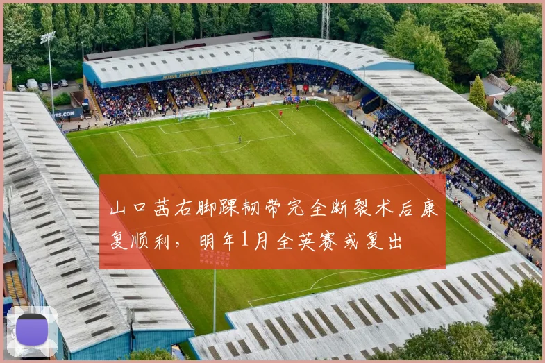 山口茜右脚踝韧带完全断裂术后康复顺利，明年1月全英赛或复出